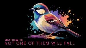 Not one of them will fall – Providence of God – Matthew 10